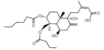 3,19-Isovaleroyl-6b,9a-dihydroxylabda-8,17,13-dien-15-oic acid